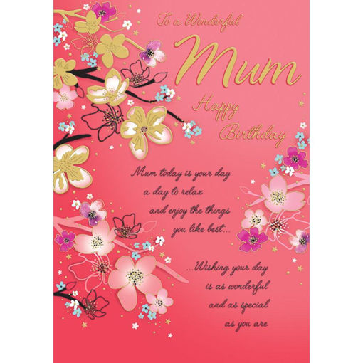 Picture of TO A WONDERFUL MUM HAPPY BIRTHDAY